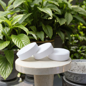 B0926 Abwasser behandlung 3 Zoll Schwimmbad reinigungs tabletten Preis - Product Image 6