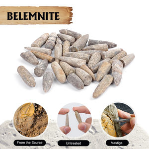 Fossiles de Belemnite Jurassique-Crétacé Authentique Spécimens de Cristal Feng Shui de Haute Préservation pour la Paléontologie - Product Image 2