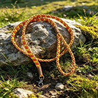 Laisse pour chien en paracorde tressée à la main, légère, personnalisée, avec motif nœud d'amour double face, vente en gros directe usine
