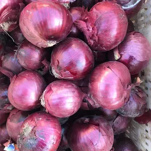 2023 Tanaman Baru Bawang Segar Merek Sinofarm Bawang Merah dan Kuning Putih Harga Per Ton Di Cina dari Biji Bawang Cina