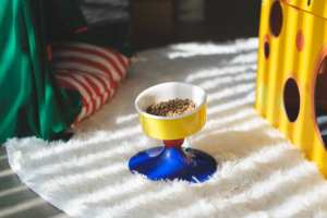 Bol en céramique automatique réglable pour animaux de compagnie avec base inclinable Bol de nourriture en plastique pour chiens en boîte de petite taille - Product Image 4