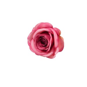 Rosa Artificial de Seda, Rosa Decorativa para Bodas, Hogar, Sala de Estar, Accesorios para Fotos, Rosa Champán, Moldeada por Inyección - Product Image 5
