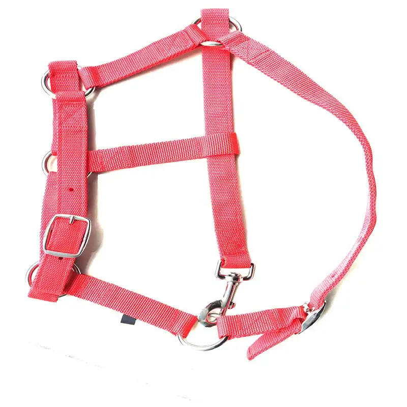 โพลีเอสเตอร์หรือไนลอนม้า bridle Halter