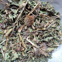 Herbes d'Échinacée : Feuilles Entières Séchées, Extrait Pur pour Tisane