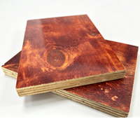 Contreplaqué de construction durable à face grain de bois bien poncée pour le béton, idéal pour les travaux de canalisations et de drainage, disponible en gros.