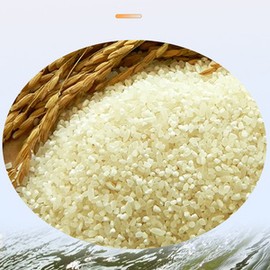 Cebo de arroz fermentado Sujuda Juyoumi, 400g, cebo granular para pesca de carpa en agua dulce - Product Image 2