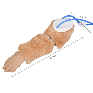 Modelo de entrenamiento para inyecciones IV en patas caninas, simulador realista de venopunción en patas de perro con venas reemplazables - Product Image 1