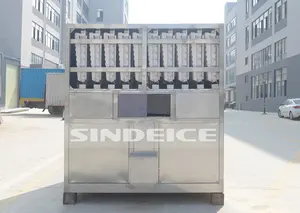 SINDEICE 2024 최신 뜨거운 판매 2 톤 큐브 제빙기 얼음 공장 필리핀 말레이시아