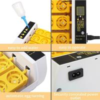 Incubateur d'œufs numérique entièrement automatique HHD à taux d'éclosion élevé, capacité de 24 œufs, pour volailles, incubateur pour poulets, à vendre