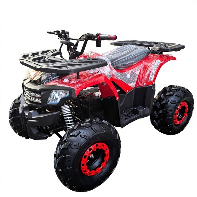 8 Inch Sand Wheel Electric Beach Buggy Adult Four-wheel Quad 1000W 48V20AH Electrical ATV for Adults