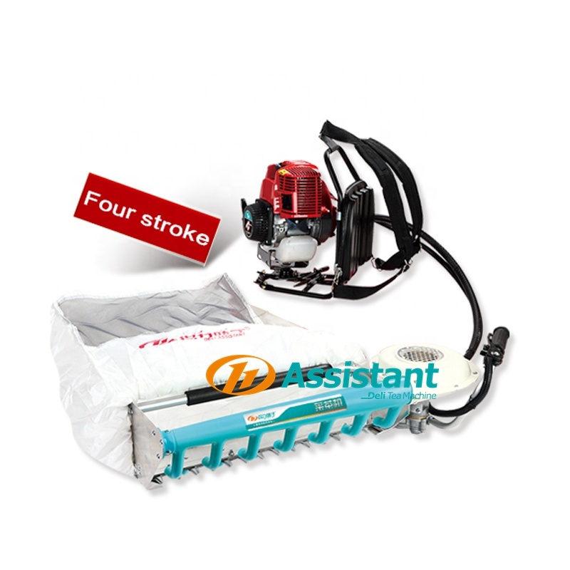 DL-4C-S39 4-тактная бензиновая машина для сбора чая 31CC, фабрика для сбора листьев