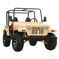 Véhicule tout-terrain 4x4 pour adultes, buggy de plage, buggy de désert, kart à pédales, jeep