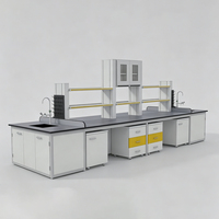 Armoire murale de laboratoire industrielle, armoire de rangement pour réactifs chimiques, banc de laboratoire