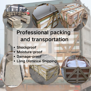 Losas de Mármol Natural Italiano Bianco Carrara para Pisos, Encimeras de Cocina, Paneles de Pared y Escaleras - Product Image 6