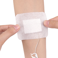 Pansement de fixation de canule Infusion Aiguille à demeure Fixation Autocollant Soins Adhésif Pansement Pansements auto-adhésifs