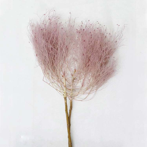 2023 Soft Dream Yunnan gros plante de fleurs séchées stabilisé préservé éternel suspendu préservé herbe de rêve préservée pour la décoration de mariage - Product Image 2
