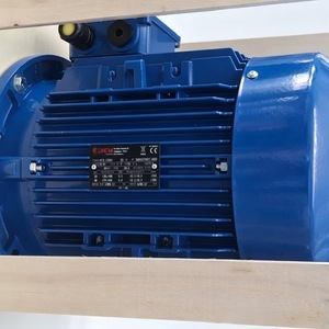 Moteur à engrenages industriel Elvem, grande carterie en fonte, 50V et moins, transmission durable - Product Image 2
