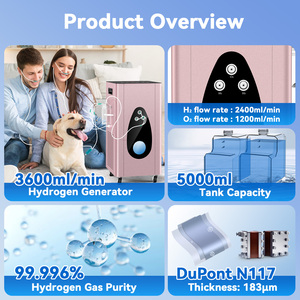 Generador de Oxígeno e Hidrógeno de 3600 ml, Inhalador SPE PEM de Alta Pureza, Máquina de Inhalación para el <span class=keywords><strong>Cuidado</strong></span> de la Salud en el Hogar y la Clínica - Product Image 5