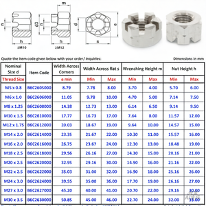 Écrous à six pans creux fendus en acier inoxydable 316 304 M4 M5 M6 M8 M10 M12 M14 M16 M20 DIN935 - Product Image 2