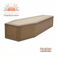 TD-EC01 de cartón sencilla para adultos, precio barato, ataúd de alta calidad