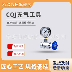 Hongxin Nitrogen Charging <b>Tool</b> 25-40Mpa For <b>Shearing</b> Machines Hydraulic Accumulator - Product Image 3