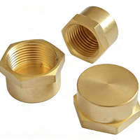 Bouchon d'extrémité en laiton à tête hexagonale fileté NPT femelle 1/4" 1/8" 3/8" 1/2" 3/4" pour tuyau, raccord de plomberie, adaptateur