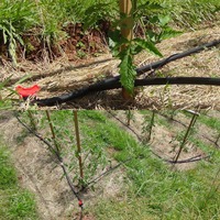 Raccords coudés, en T et bouchons d'extrémité pour tuyaux d'irrigation goutte à goutte en PE de 16 mm, 20 mm, 25 mm, 1/2'' et 3/4'' pour réparation et extension de tuyaux d'arrosage de jardin