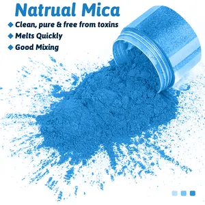 Bulk Pigment Powder Metallic Powder Mica Powder Pigment