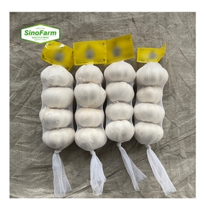 <span class=keywords><strong>Vendita</strong></span> calda in fabbrica 4.5cm-6cm aglio fresco bianco puro Non sbucciato 3p aglio bianco normale aglio secco alla rinfusa per la <span class=keywords><strong>vendita</strong></span> - Product Image 4