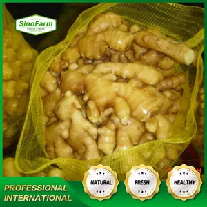 Jahe Kering Baru untuk Grosir Jahe Kering dalam Jumlah Besar Jahe Cina Segar untuk Dijual Harga Rendah - Product Image 5