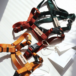 OEM Özel <span class=keywords><strong>H</strong></span> Tipi Köpek Tasması Seti Rahat Yavru Köpek Tasması ve Kayışlı Tasma Çekmez Evcil Hayvan Tasmaları - Product Image 1