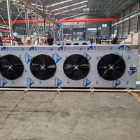 Unidad Condensadora con Evaporador para Congelador, Bobina DJ, Motor y Motor Eléctrico para Cuarto Frío, Precios de Fábrica, 1 Año de Garantía