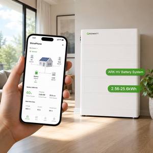 Erneuerbare Energie Growatt 10kWh LiFePO4 Batterie für SPF5000ES <span class=keywords><strong>SPH3000</strong></span>-<span class=keywords><strong>6000</strong></span> 51,2V 200Ah Solarbatterie-Backup - Product Image 4