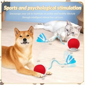 Jouets interactifs pour chat avec queue en maille élastique, boule mobile automatique pour chats d'intérieur-jeu et exercice activés par le mouvement/ - Product Image 3