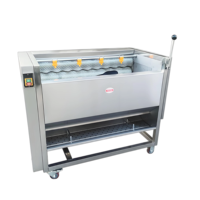 Machine voor het reinigen van vers fruit en groenten, specifiek voor het verwijderen van modder, fruitreinigingsapparatuur die het vruchtvlees niet beschadigt.