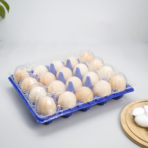 Hot Sale Disposable 30-Cell Plastic Medium <strong>Egg</strong> Tray Clamshell PET <strong>Material</strong> Blister Easy Bottom Cover Separation Food Grade - Product Image 5
