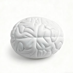 ลูกบอลโฟม PU สำหรับคลายเครียดรูปสมองของเล่นคลายเครียดออกแบบโลโก้ได้ตามต้องการ - Product Image 3