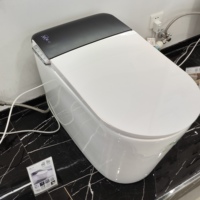 Nouvelle toilette intelligente entièrement automatique en céramique haut de gamme avec nettoyage à l'eau chaude et séchage à l'air chaud, idéale pour les appartements et les villas