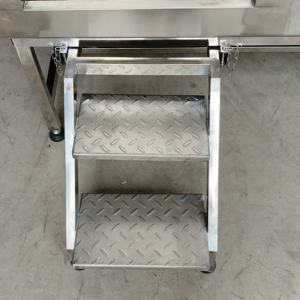 Baignoire Électrique Relevable pour Chiens - Baignoire de Toilettage Premium en Acier Inoxydable avec Escalier Rétractable et Accessoires - Product Image 2