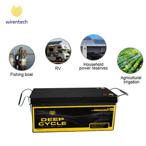 OEM Lithium ion Season Battery Electric Bike Battery Backup Lifepo4 Batteries 24v 100ah 200ah Clean Energy for Boat RV