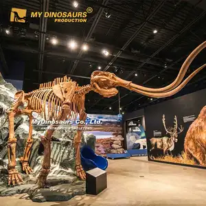 Esqueleto de elefante de fibra de vidrio para exhibición de museo My Dino a la venta