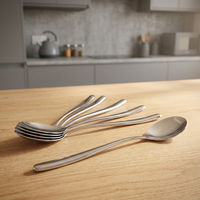 Cuillère en acier inoxydable, couverts modernes pour la salle à manger, la cuisine, l'hôtel, le restaurant et la collection de cadeaux