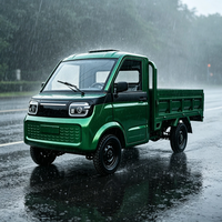 Camion électrique compact économique pour l'Afrique, conduite à gauche, frein à disque sur 4 roues pour le transport de marchandises