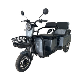 Holladay Vélo Électrique Urbain 2 Places, Autonomie 40 km, Tricycle Électrique Pratique avec Panier pour Personnes Âgées - Product Image 1