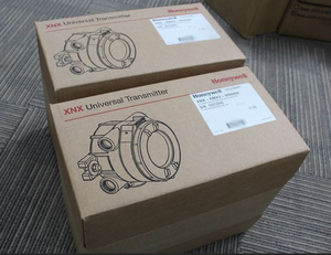 XNX-AMAE-NNNNN Dispositivo a Prueba de Explosiones XNX Universal con Certificación ATEX/IEC, Construcción de Aluminio IP54, EE. UU. - Product Image 4