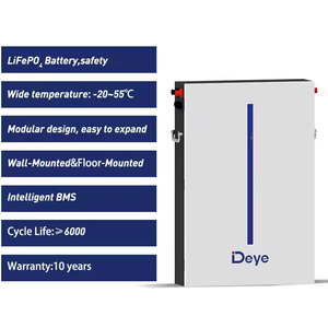 Deye RW-M6.1-B Power Wall Lifepo4 Batterij 51.2V 120ah 6,14kwh Lithiumbatterij Voor Hybride Zonnestelsel - Product Image 2