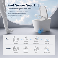 WC intelligent monobloc en céramique OEM avec réservoir intégré, télécommande et nettoyage à l'eau chaude