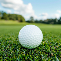 Balle de pratique de golf EVA Foam 20G pour l'entraînement et la pratique du golf avec compatibilité gazon artificiel