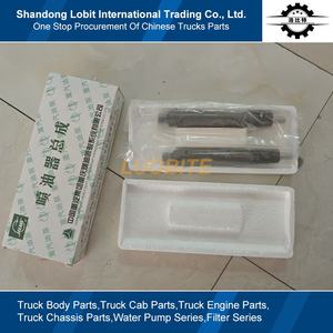 Reserveonderdelen voor Sinotruk HOWO 371 336 T7H semi-trailer 8x4 kippertruck WD615 dieselmotor KBEL132P110 brandstofinjector VG1560080276 - Product Image 2