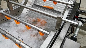 Çok fonksiyonlu kabarcık sebze temizleme makinesi makine ve meyve temizleme makinesi endüstrisi - Product Image 5